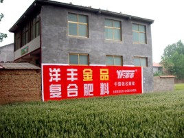 赫章如何让墙体广告展现最大化效果