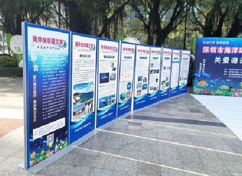 赫章KT板的种类和知识。